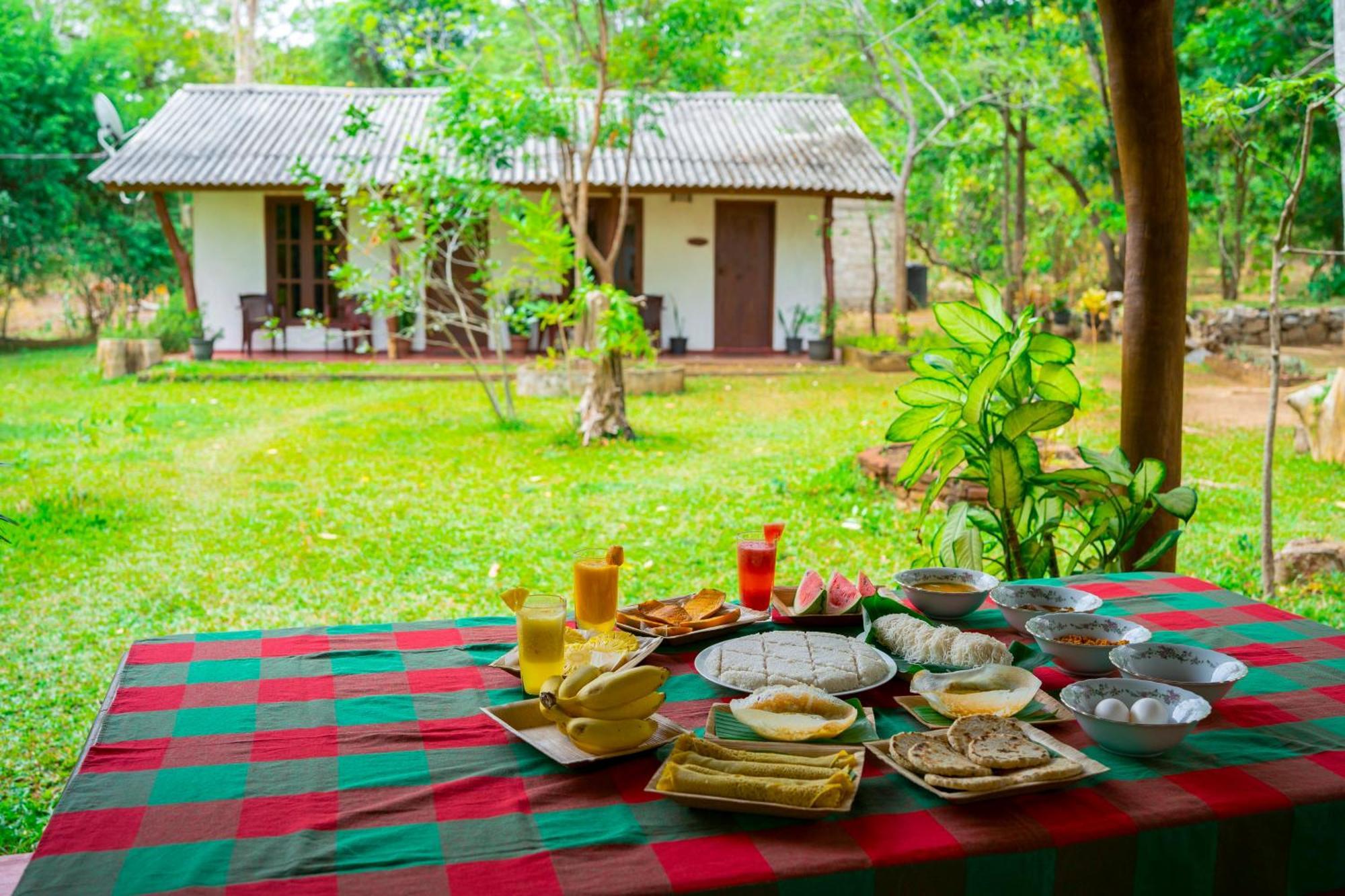 Wild Hut Habarana Bed & Breakfast エクステリア 写真