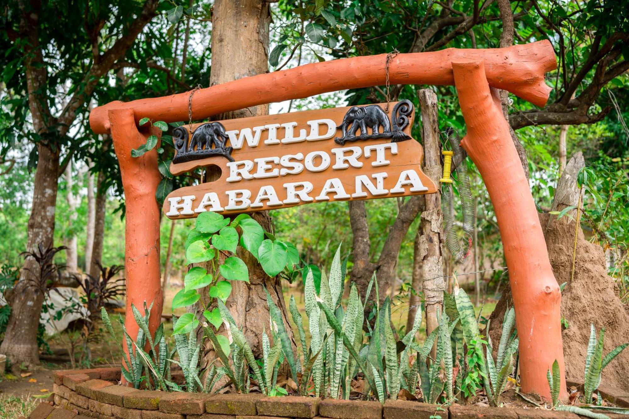 Wild Hut Habarana Bed & Breakfast エクステリア 写真