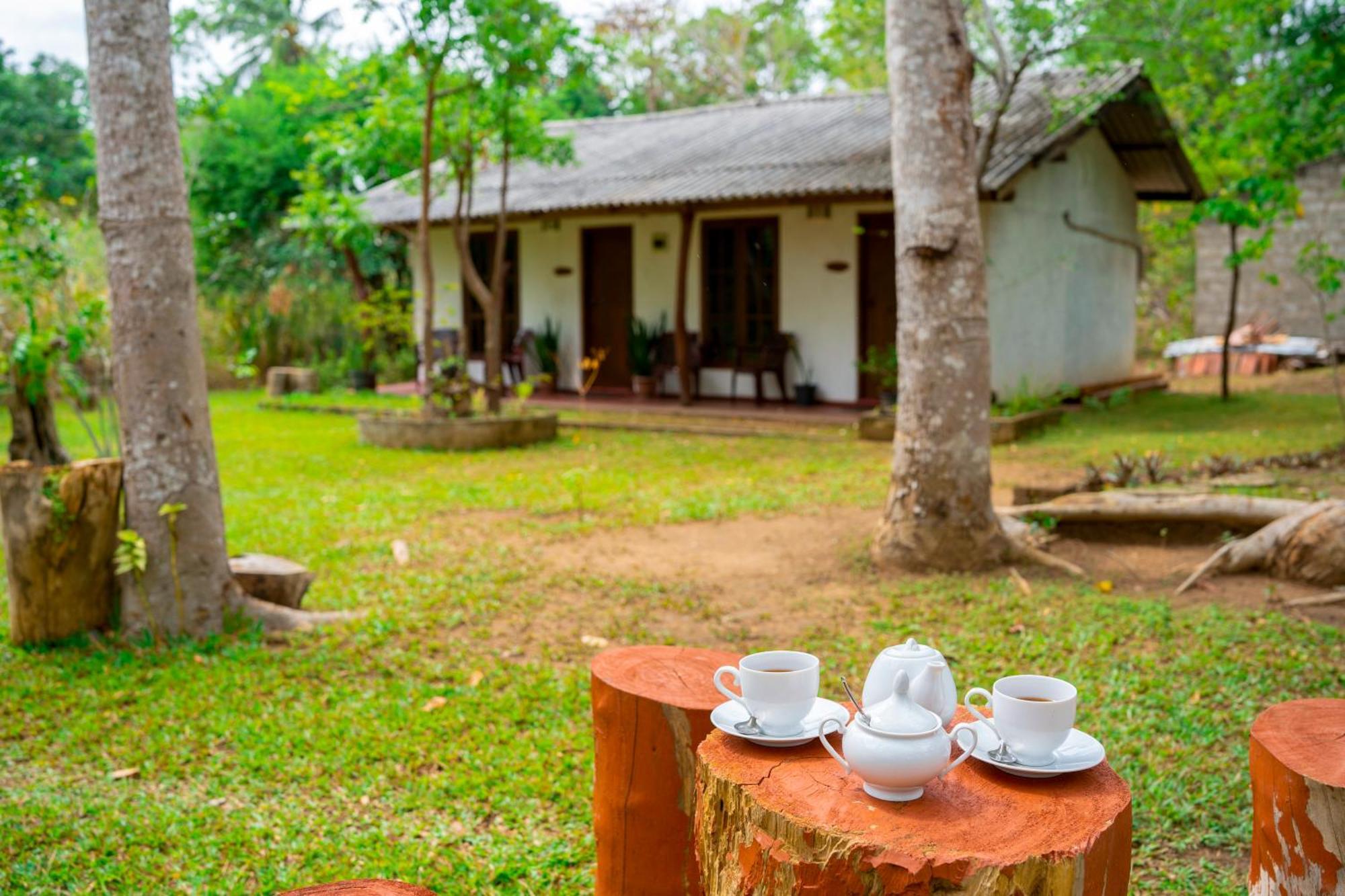 Wild Hut Habarana Bed & Breakfast エクステリア 写真