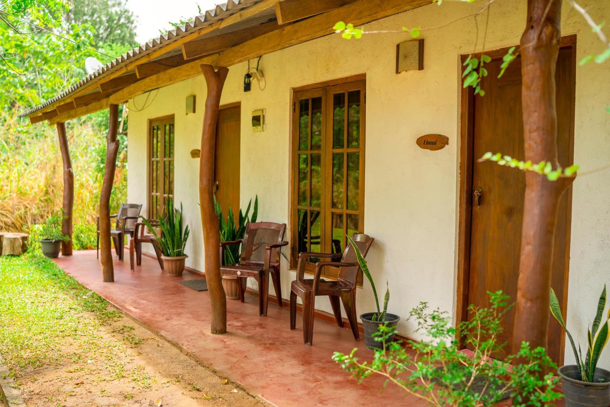 Wild Hut Habarana Bed & Breakfast エクステリア 写真