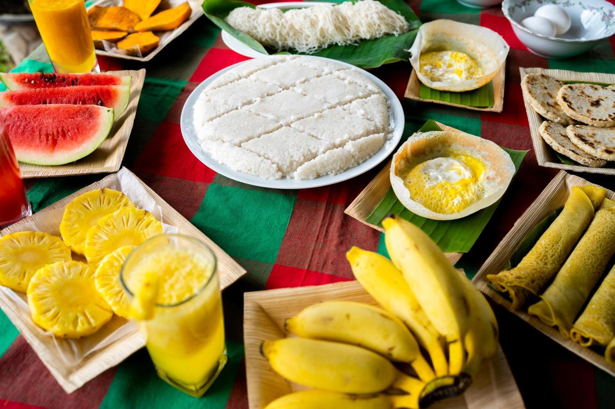 Wild Hut Habarana Bed & Breakfast エクステリア 写真