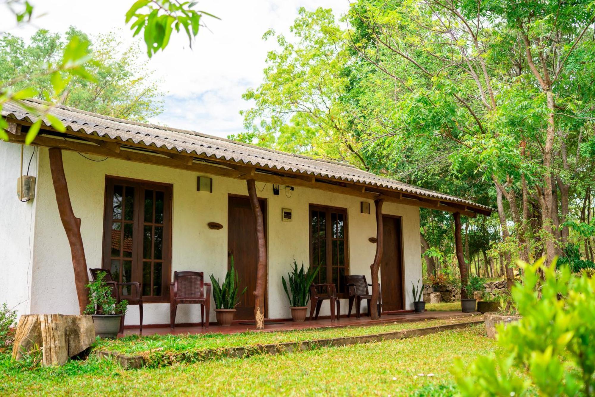 Wild Hut Habarana Bed & Breakfast エクステリア 写真