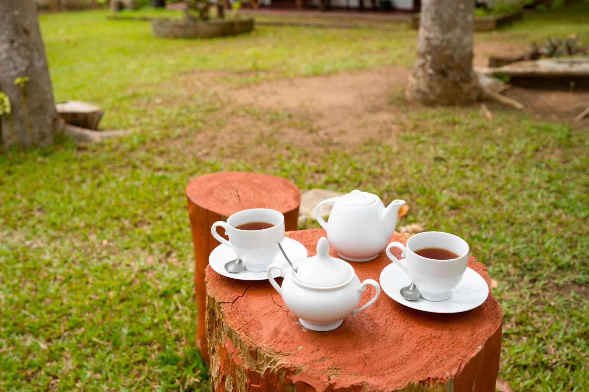 Wild Hut Habarana Bed & Breakfast エクステリア 写真